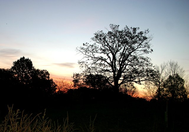 photo 0232.jpg